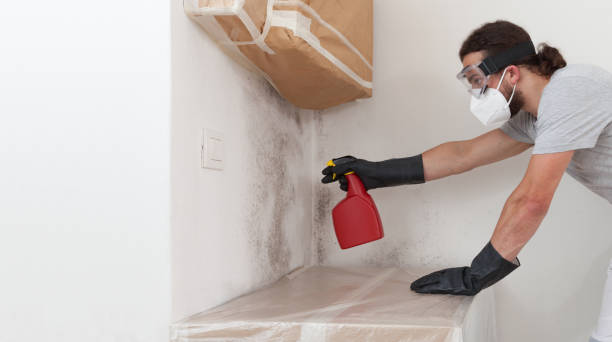 Professional Crawl Space Mold Removal technician working in Fountain, CO