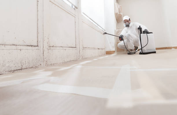 24/7 Emergency Crawl Space Mold Removal experts in Fountain, CO